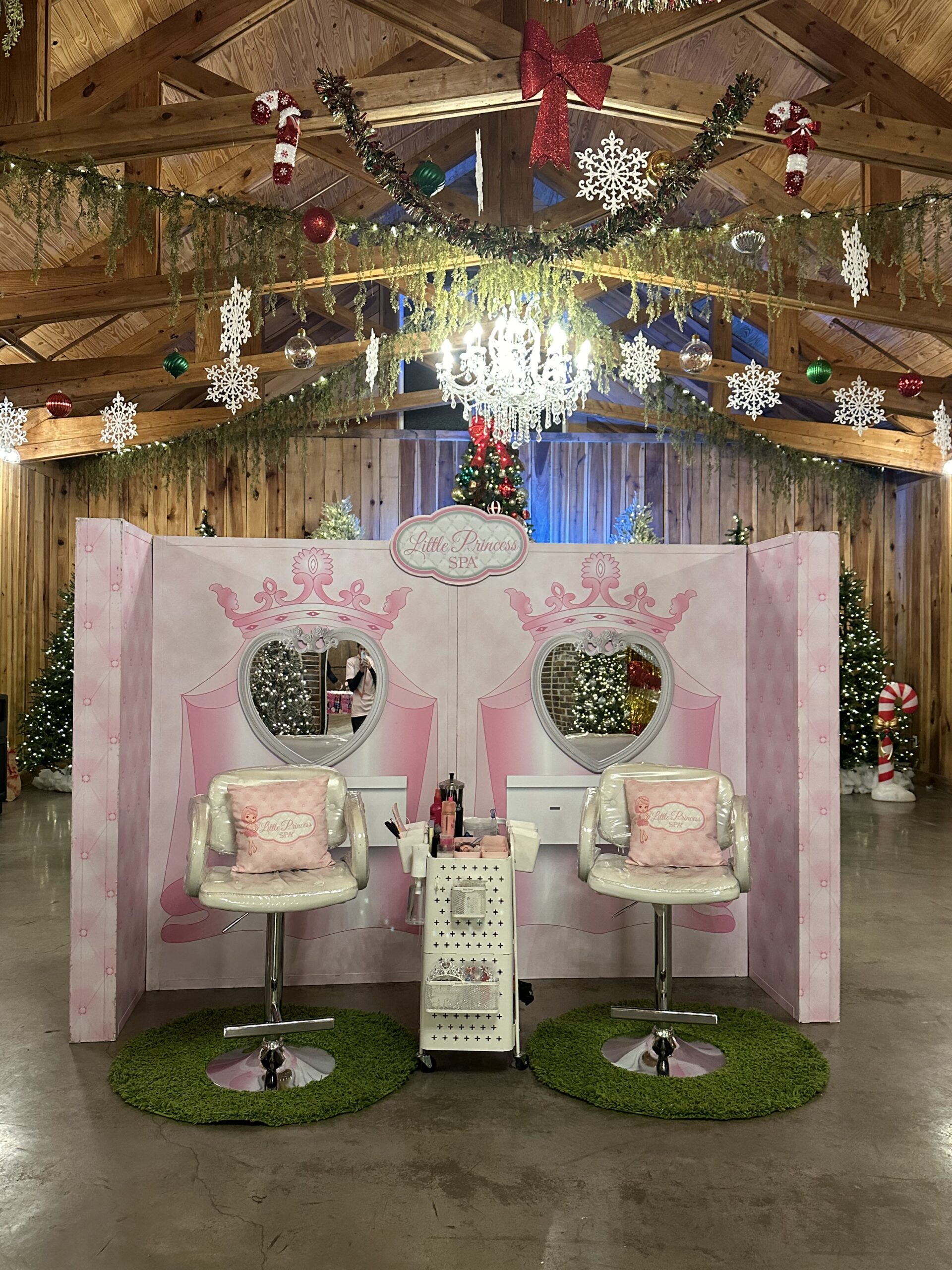 Little Princess Spa Mobile Fairy Indoor Party (1)