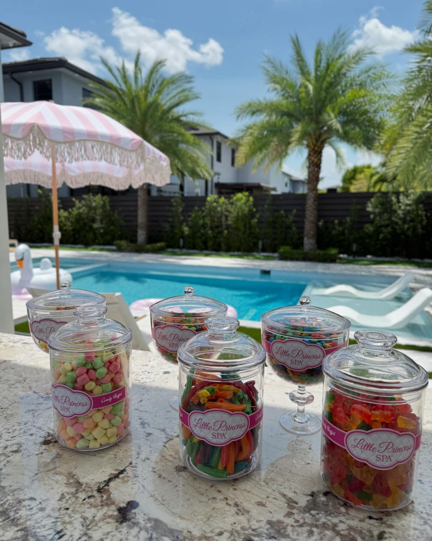 Little Princess Spa Mobile Outdoor Parties (9)