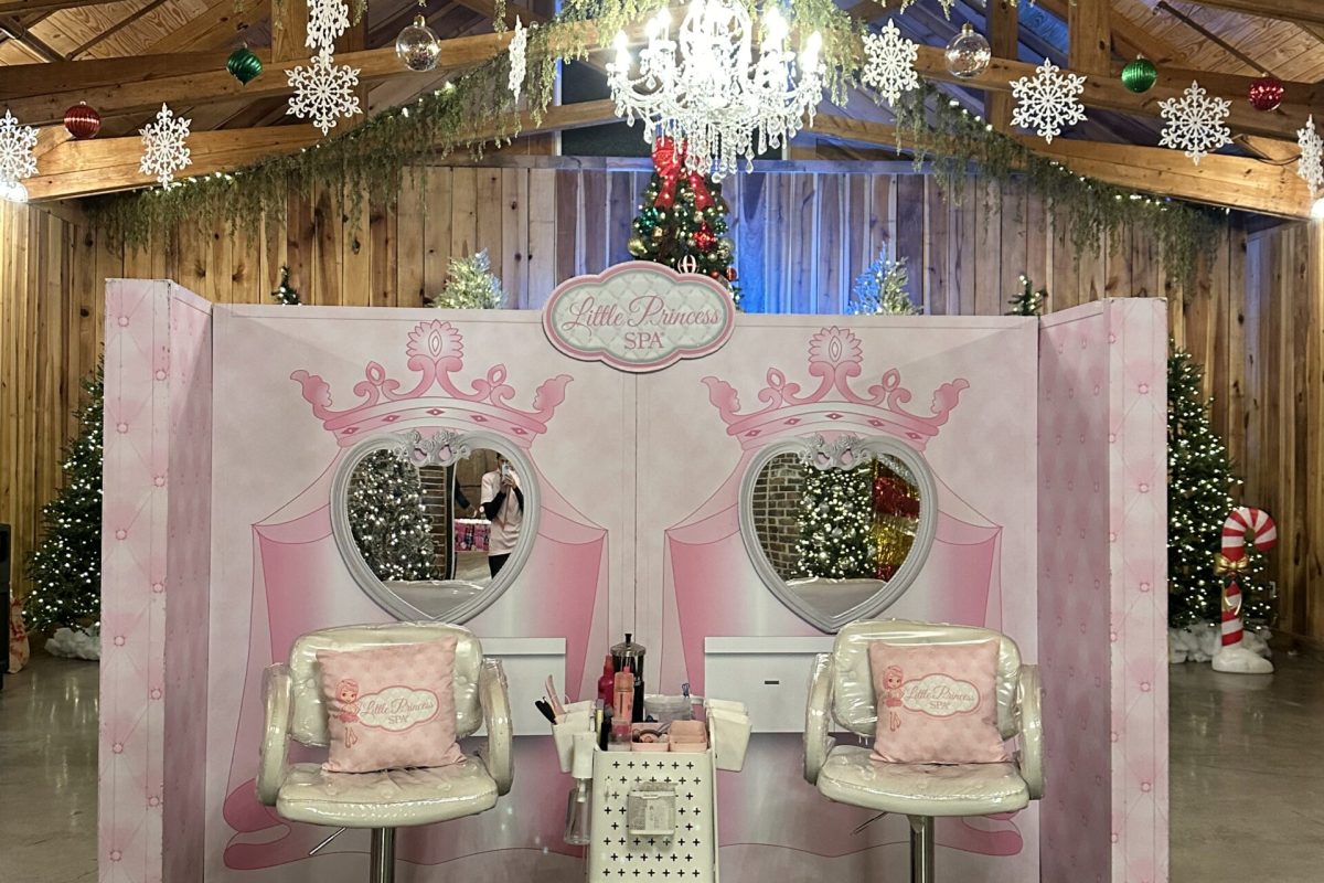 Little Princess Spa Mobile Fairy Indoor Party (1)